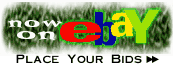 Place Your Bid